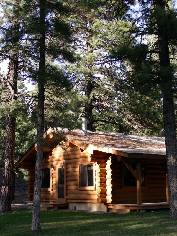 Log Home Repair