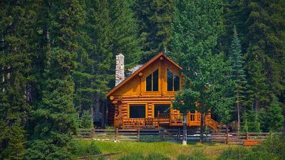 Log Home Repair