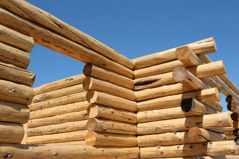 Products For Log Home Repairs in use